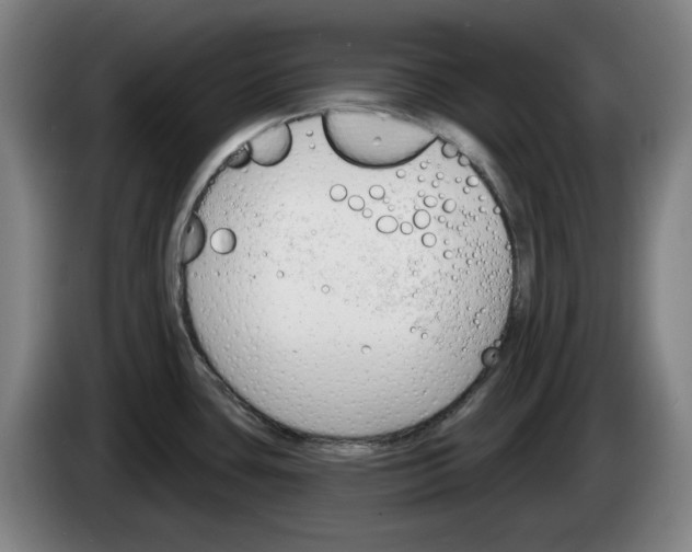 X0000083531435200703091503