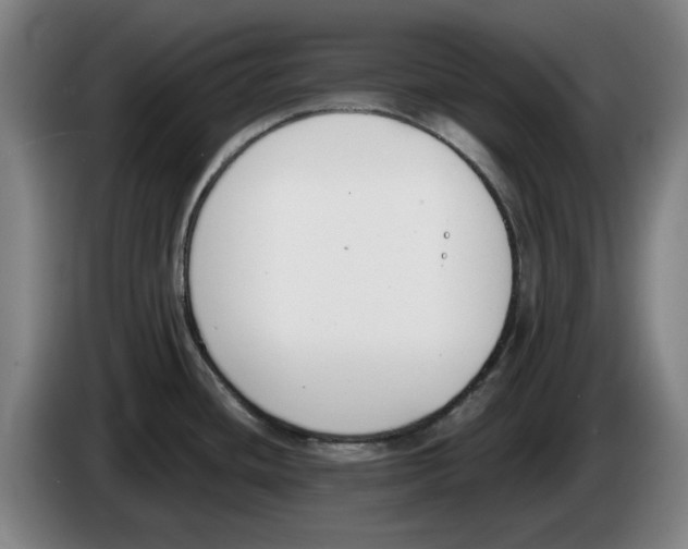 X0000083531436200703091503