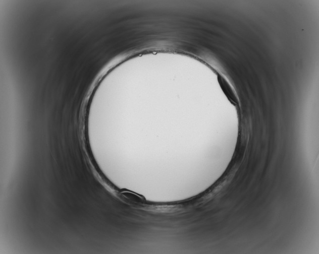 X0000083531437200703091503