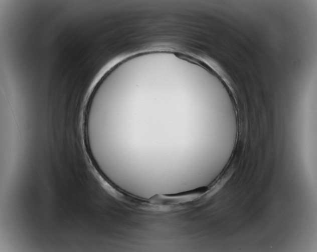 X0000083531438200703091503