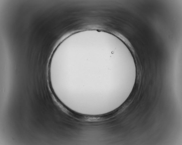 X0000083531439200703091503