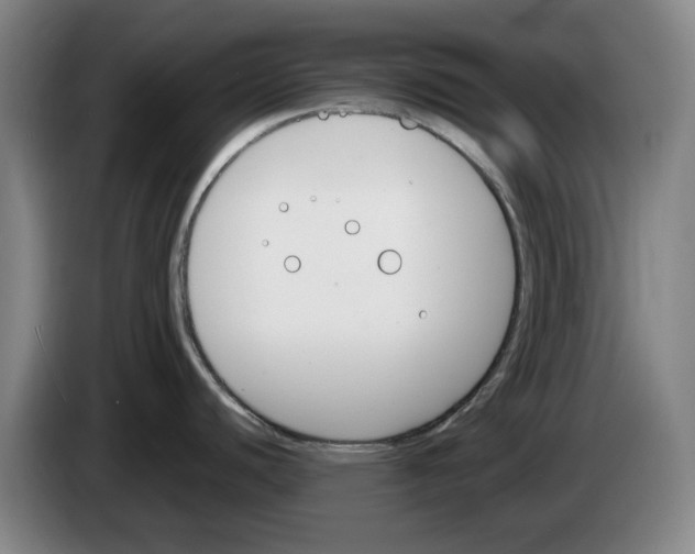 X0000083531440200703091503