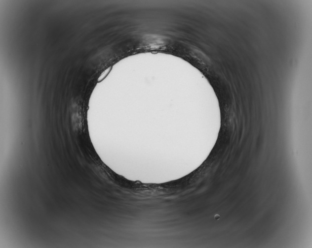 X0000083531442200703091502