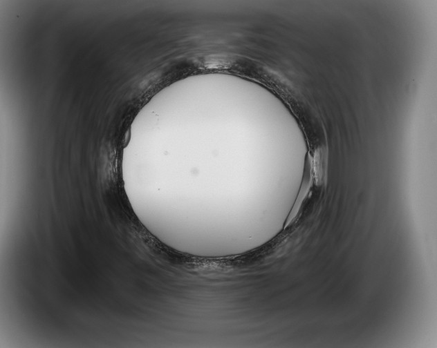 X0000083531443200703091502