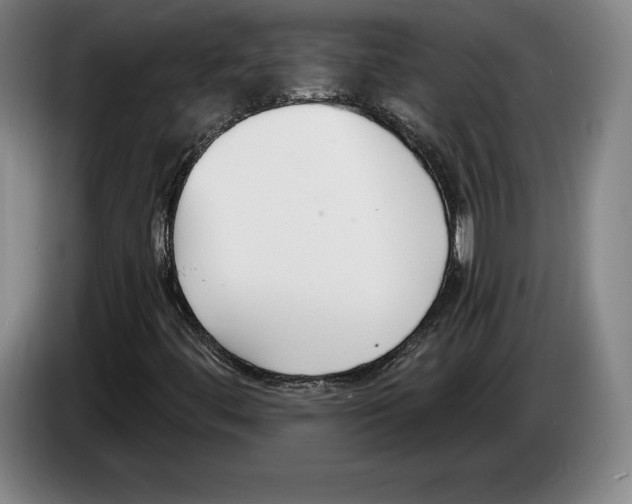 X0000083531444200703091502