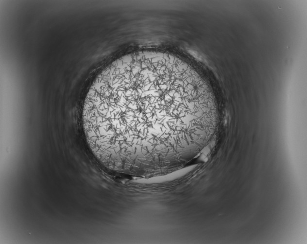 X0000083531445200703091502