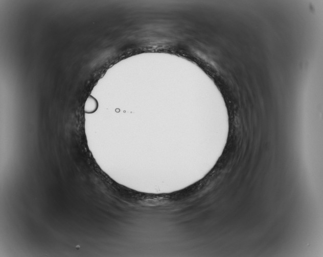 X0000083531447200703091502