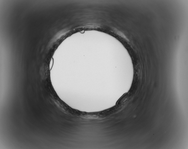 X0000083531448200703091502