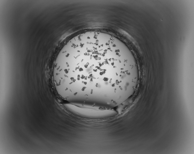 X0000083531449200703091502