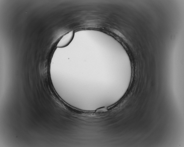 X0000083531450200703091502