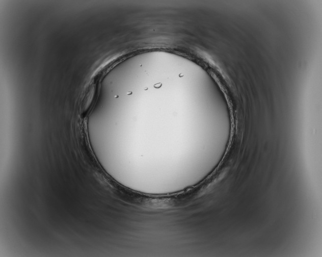 X0000083531453200703091502