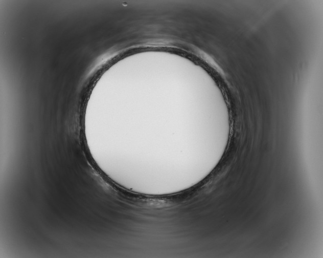 X0000083531456200703091502