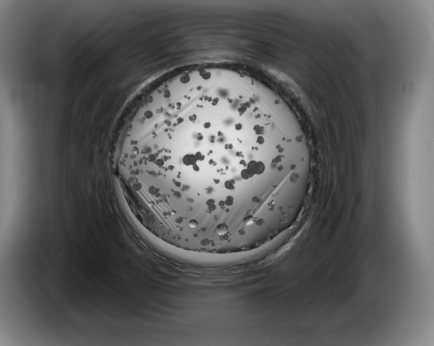 X0000083531457200703091502