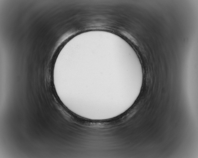 X0000083531458200703091502