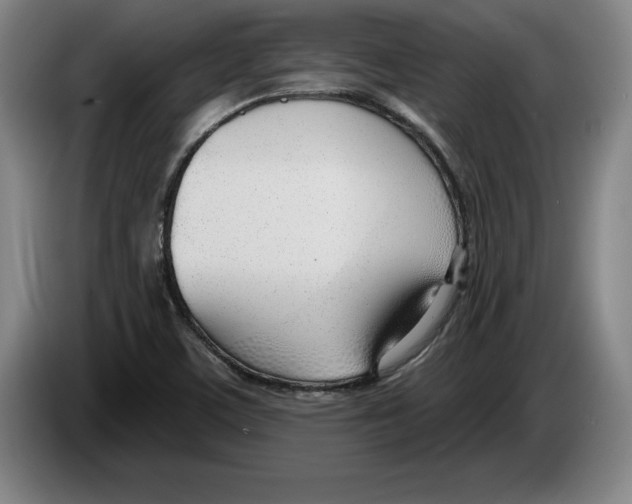 X0000083531459200703091502