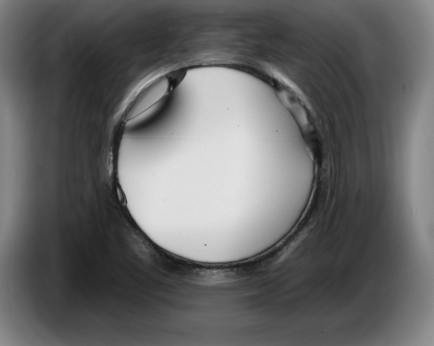 X0000083531461200703091502