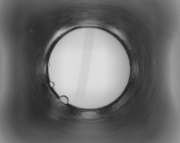 X0000083531462200703091502