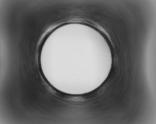 X0000083531464200703091502