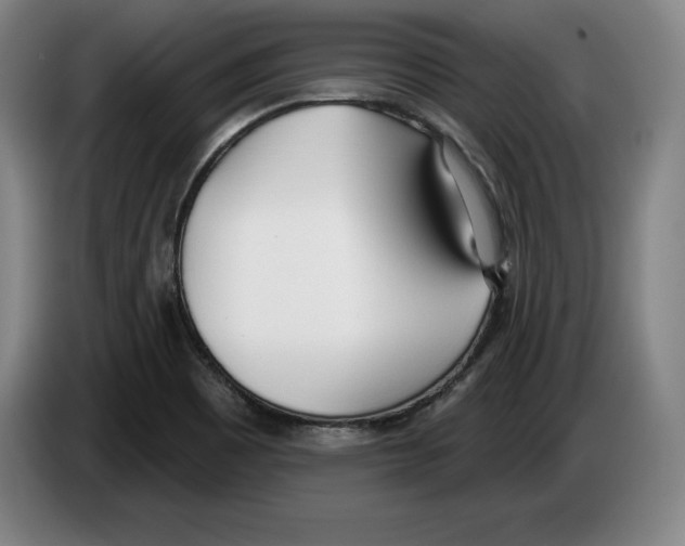 X0000083531465200703091502