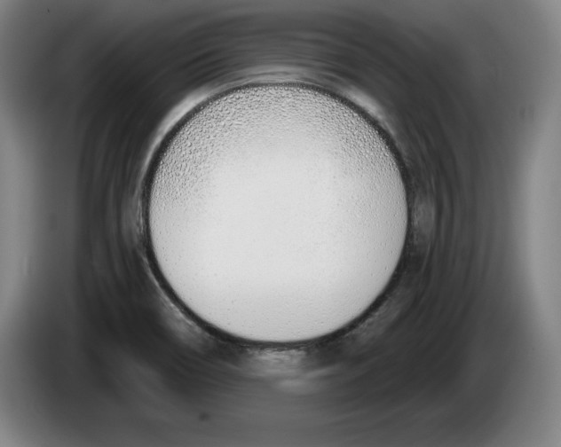 X0000083531466200703091502