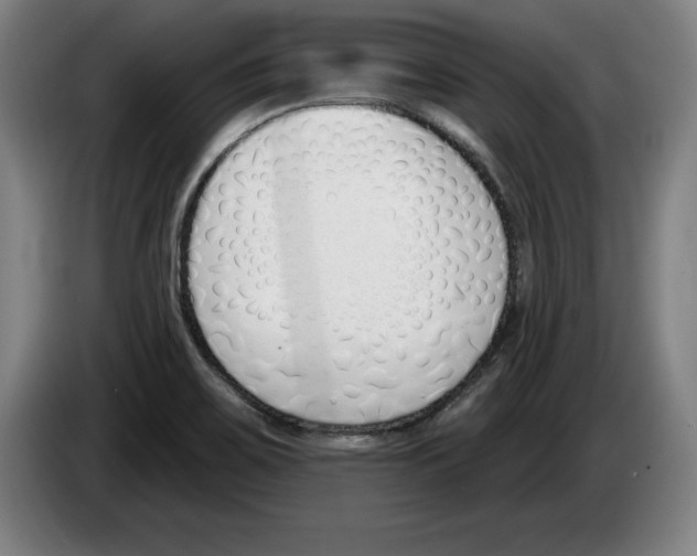 X0000083531467200703091502