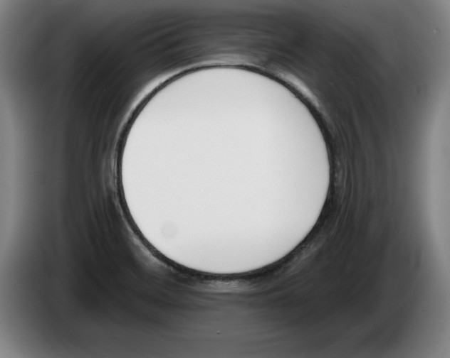 X0000083531468200703091502