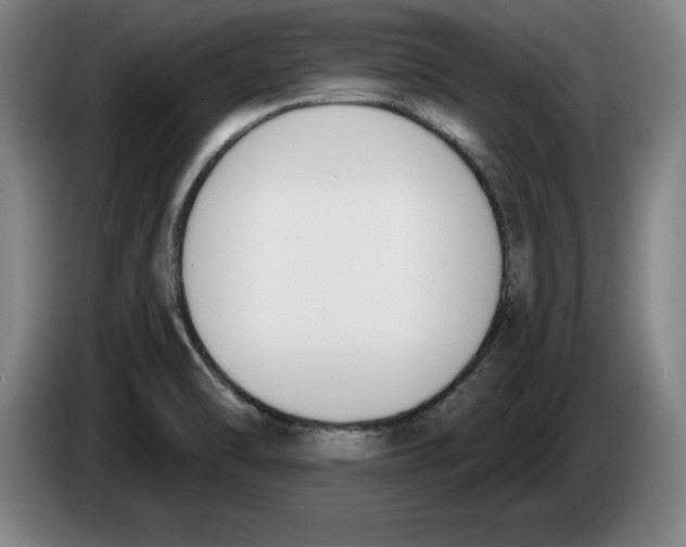 X0000083531470200703091502