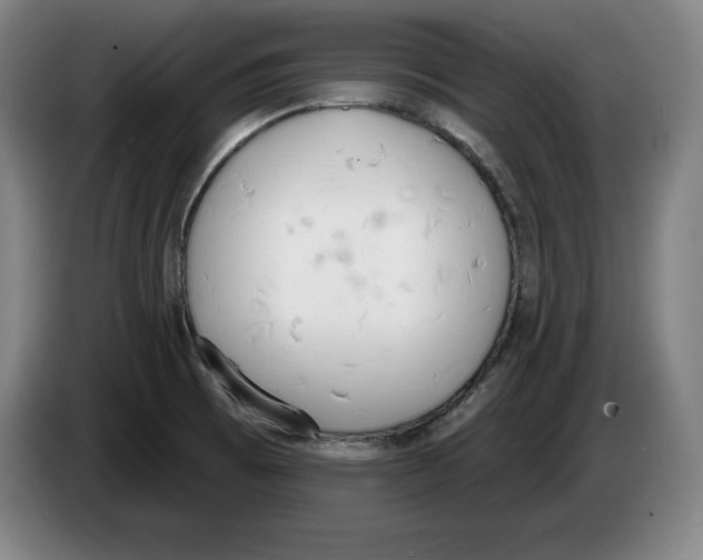 X0000083531473200703091501