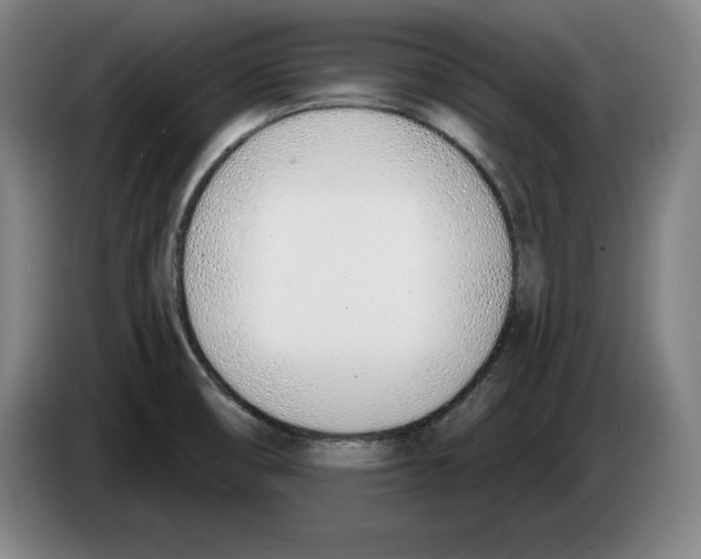 X0000083531474200703091501