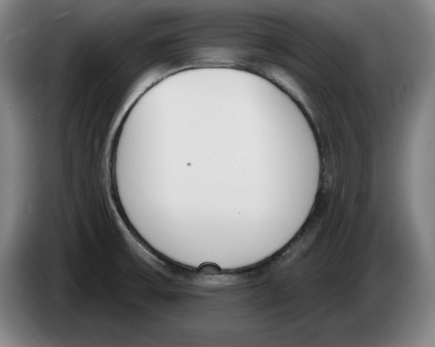 X0000083531475200703091501