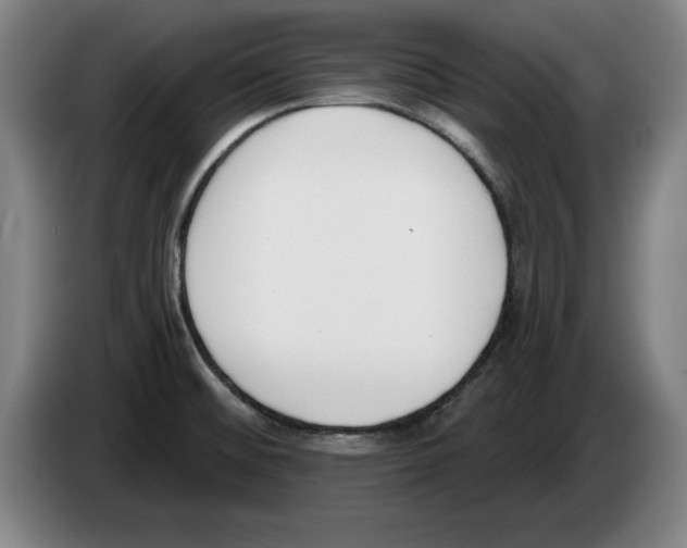 X0000083531476200703091501