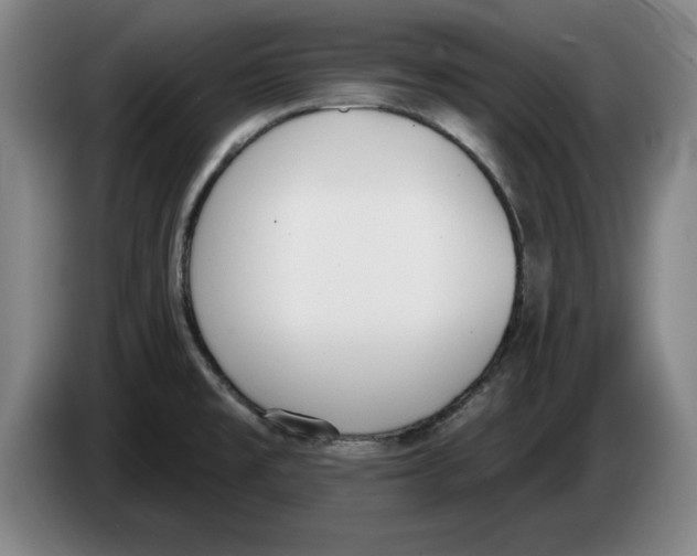 X0000083531477200703091501