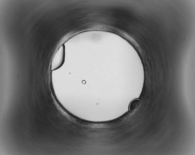 X0000083531479200703091501