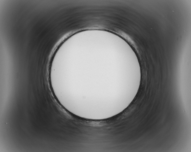 X0000083531480200703091501