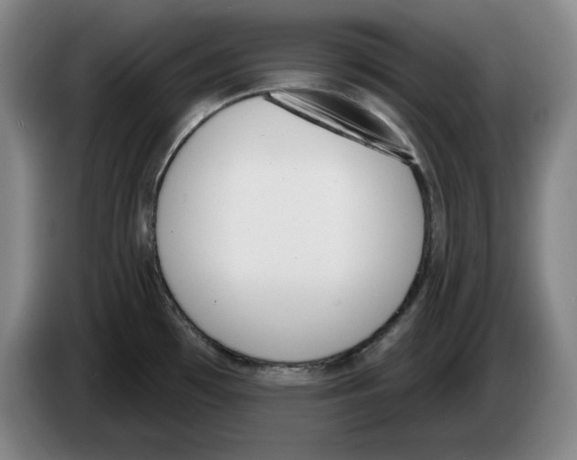 X0000083531481200703091501