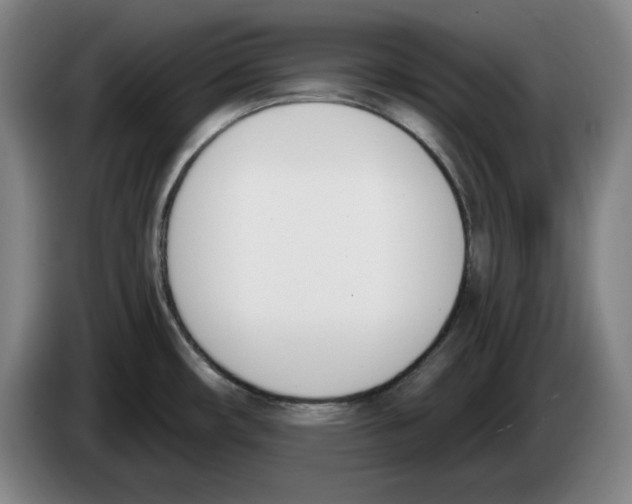 X0000083531482200703091501