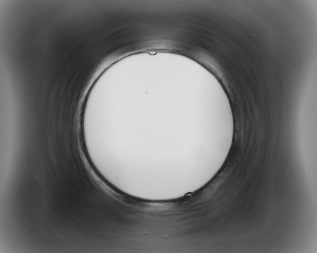 X0000083531483200703091501