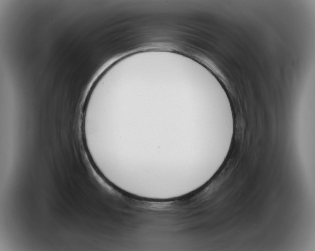 X0000083531484200703091501