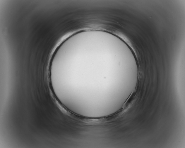 X0000083531485200703091501