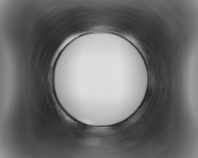 X0000083531486200703091501