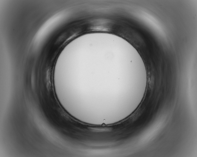 X0000083531487200703091501