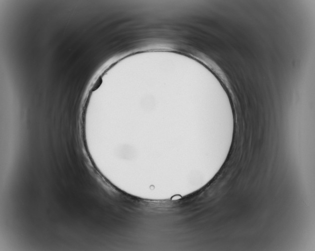 X0000083531488200703091501