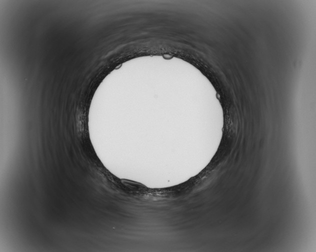 X0000083531490200703091500