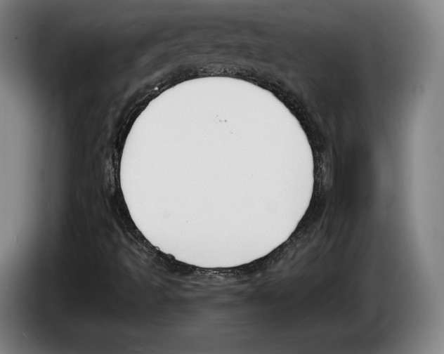 X0000083531493200703091501