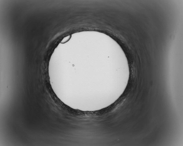 X0000083531494200703091501