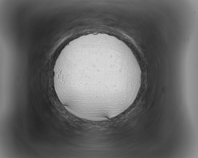 X0000083531496200703091501