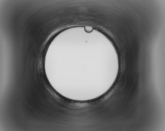 X0000083531498200703091501