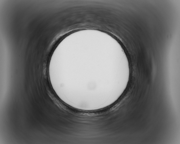 X0000083531499200703091501