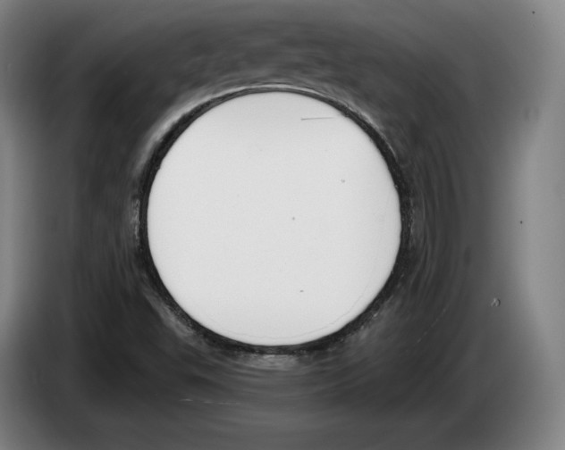 X0000083531503200703091501