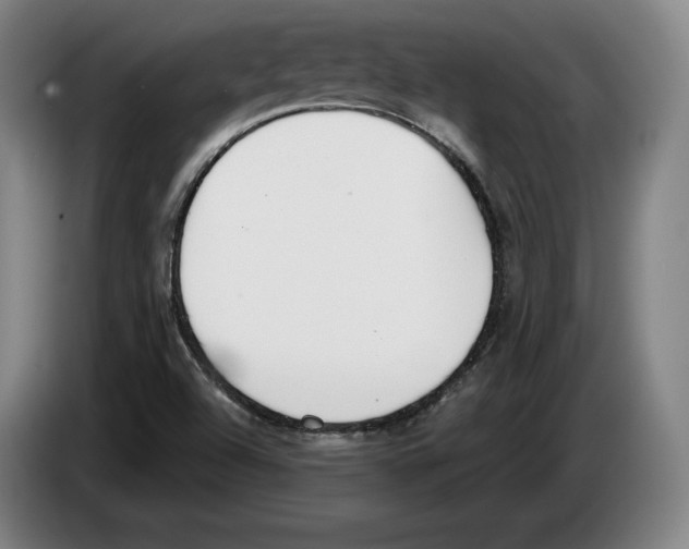 X0000083531504200703091501